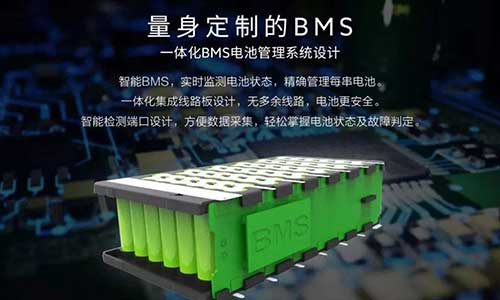 BMS333体育.jpg